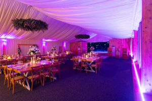 LED Venue Light Strips
